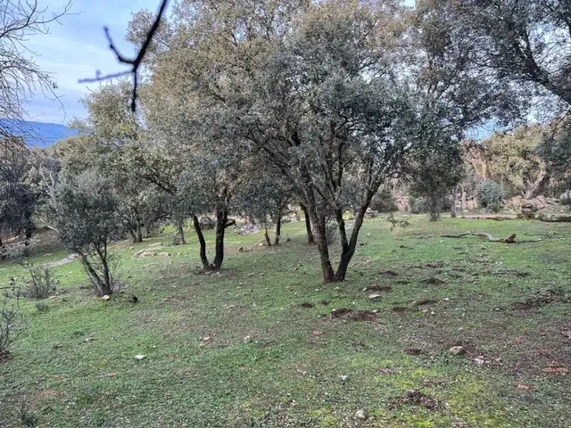 Terreno en venta en Almendral de la Cañada, Toledo