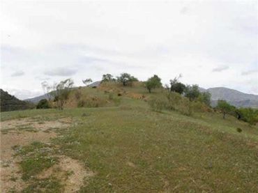 Terreno rustico in vendita a Álora