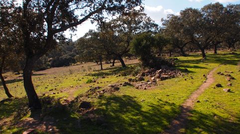 Foto 2 de Finca rústica en venda a Santa Olalla del Cala, Huelva