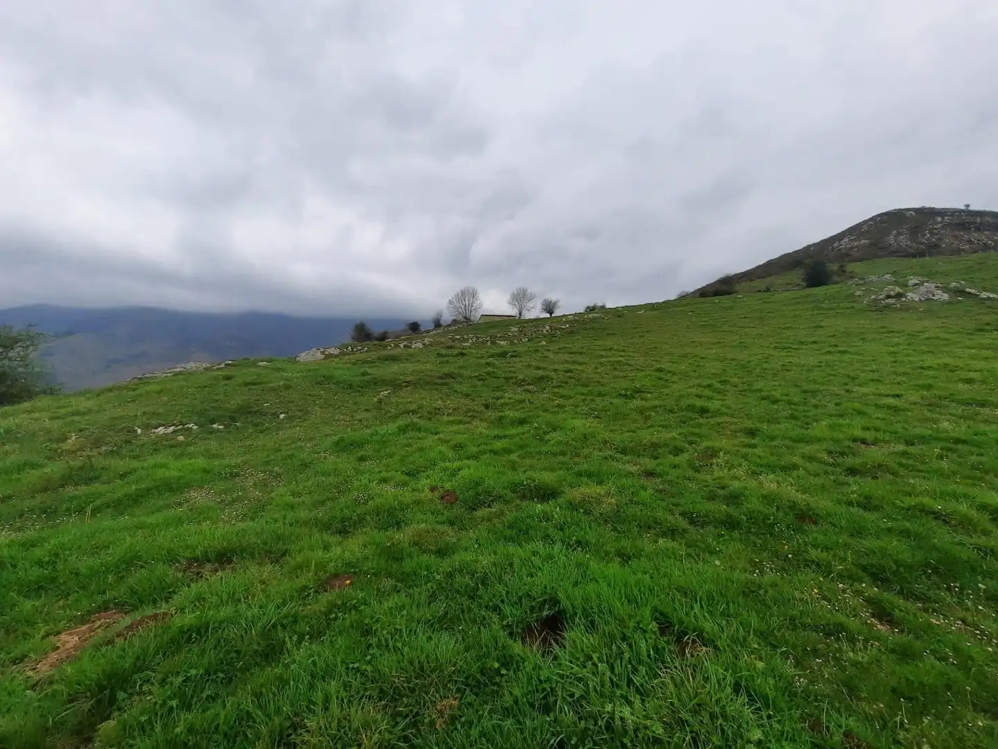 Local en venta en Valdáliga