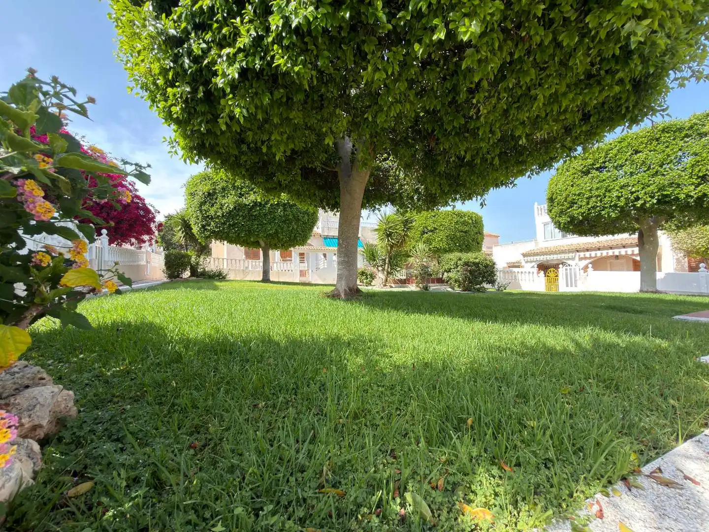 Jardí de Casa o xalet en venda en Torrevieja amb Traster, Piscina i Moblat