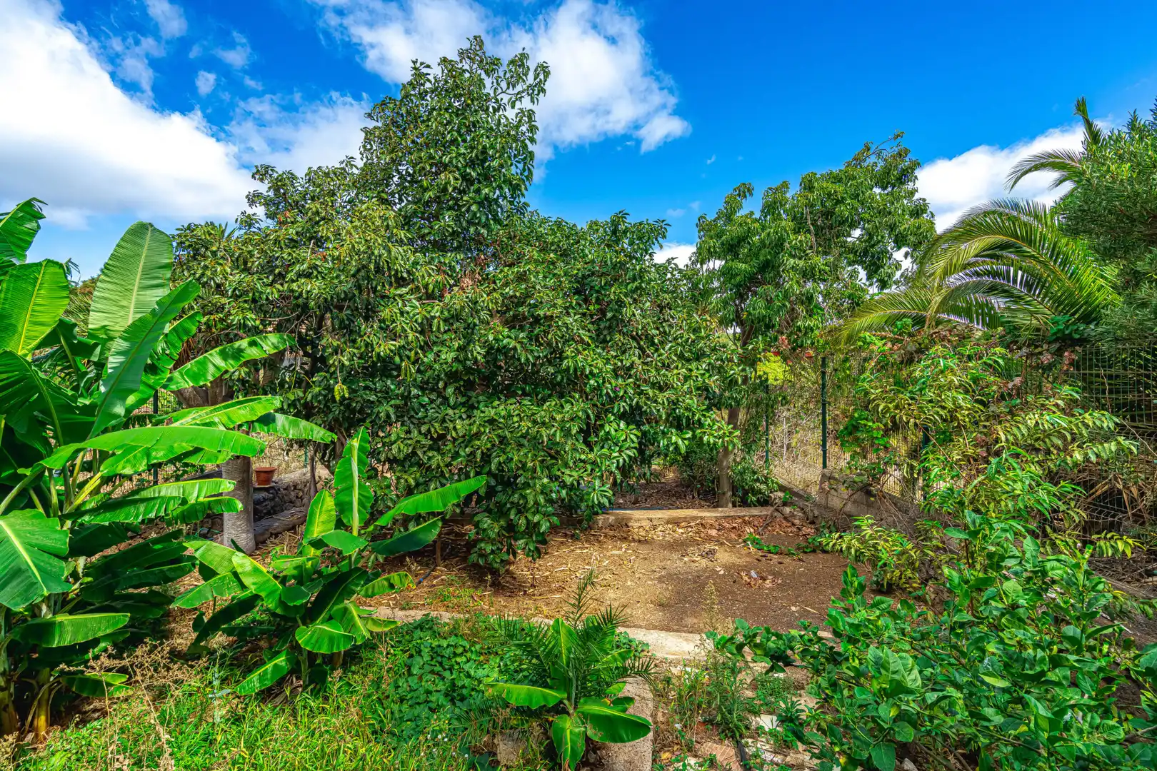Casa adosada en venta en San Cristóbal de la Laguna con Jardín privado, Terraza y Trastero
