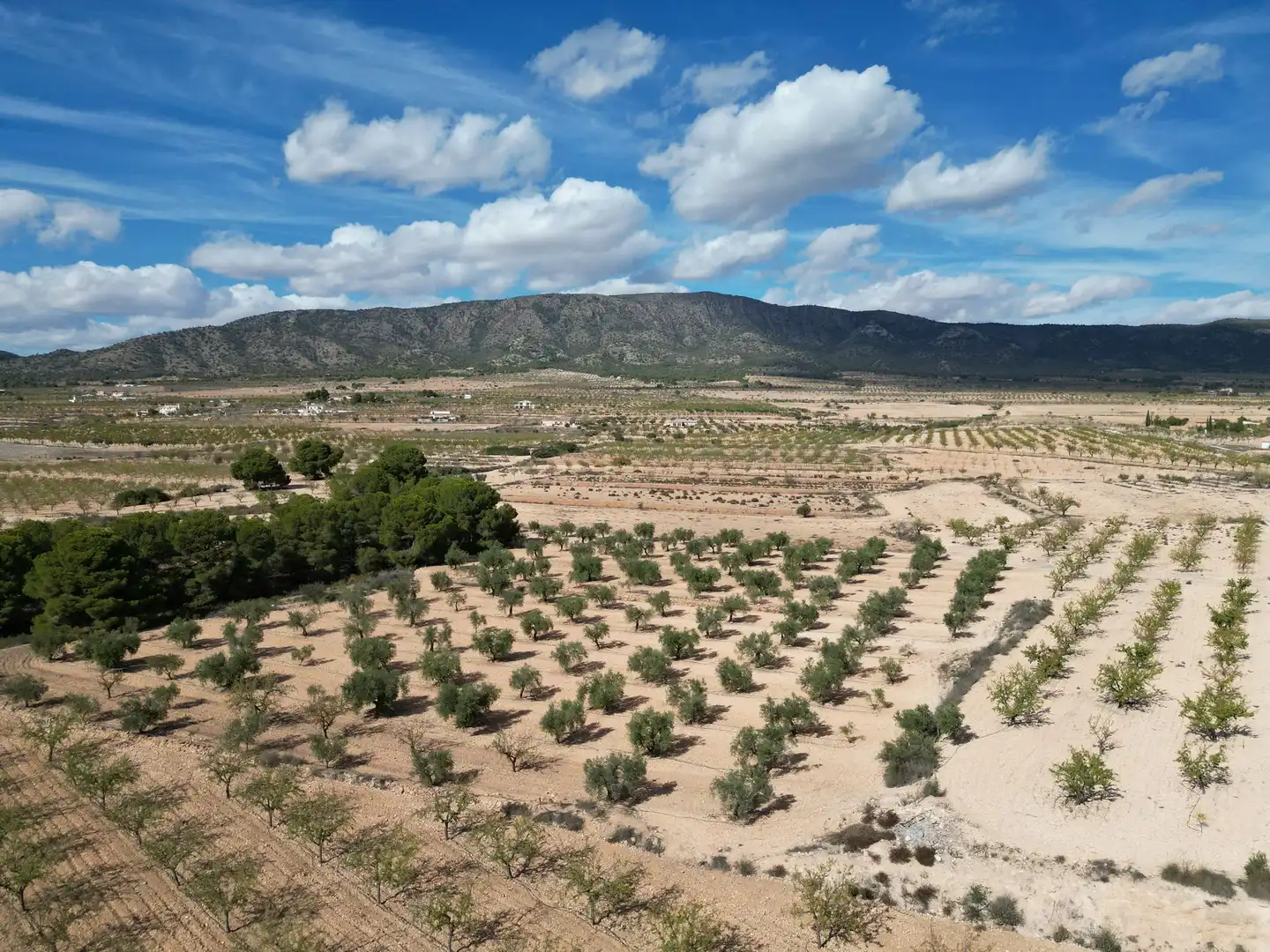 Terreno residencial en venta en El Pinós / Pinoso, imagen 23