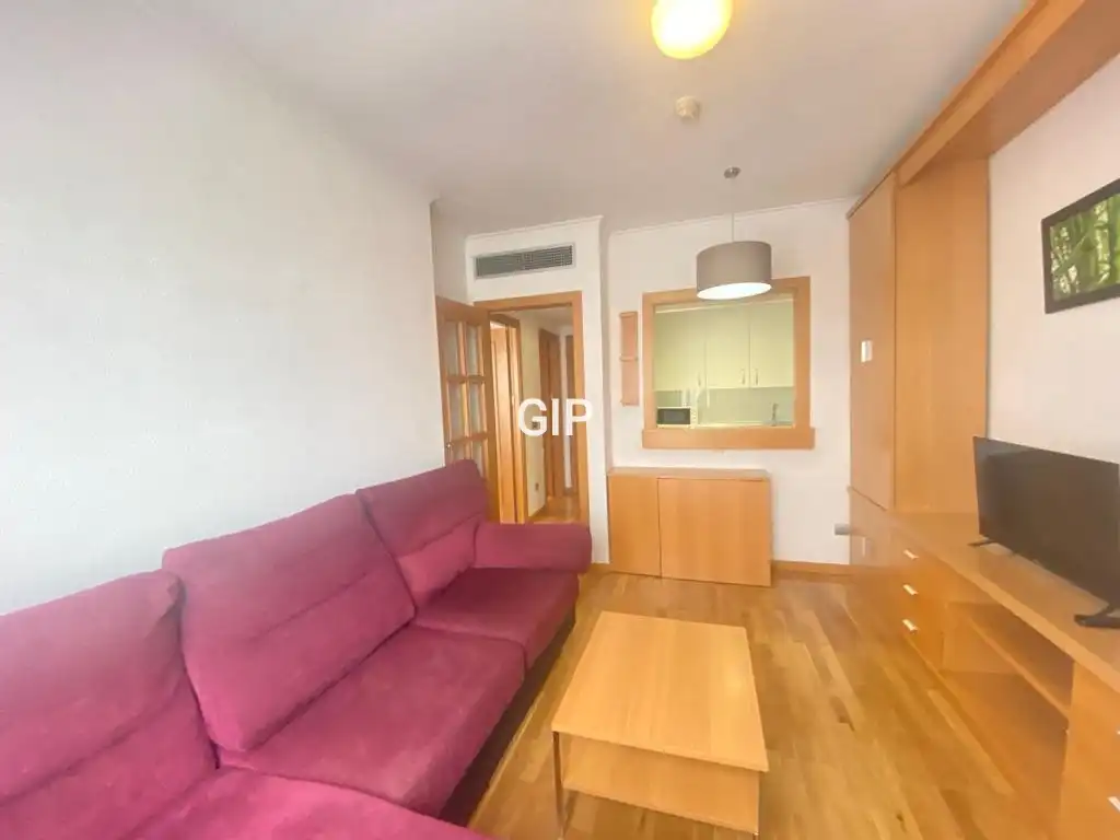 Living room of Apartments for rent in Madrid  with Air Conditioner, Heating and Furnished