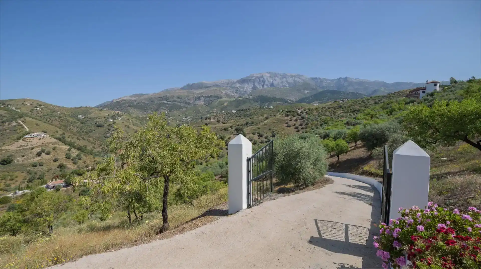 Vista exterior de Casa o xalet de lloguer en Sedella amb Jardí privat, Traster i Piscina