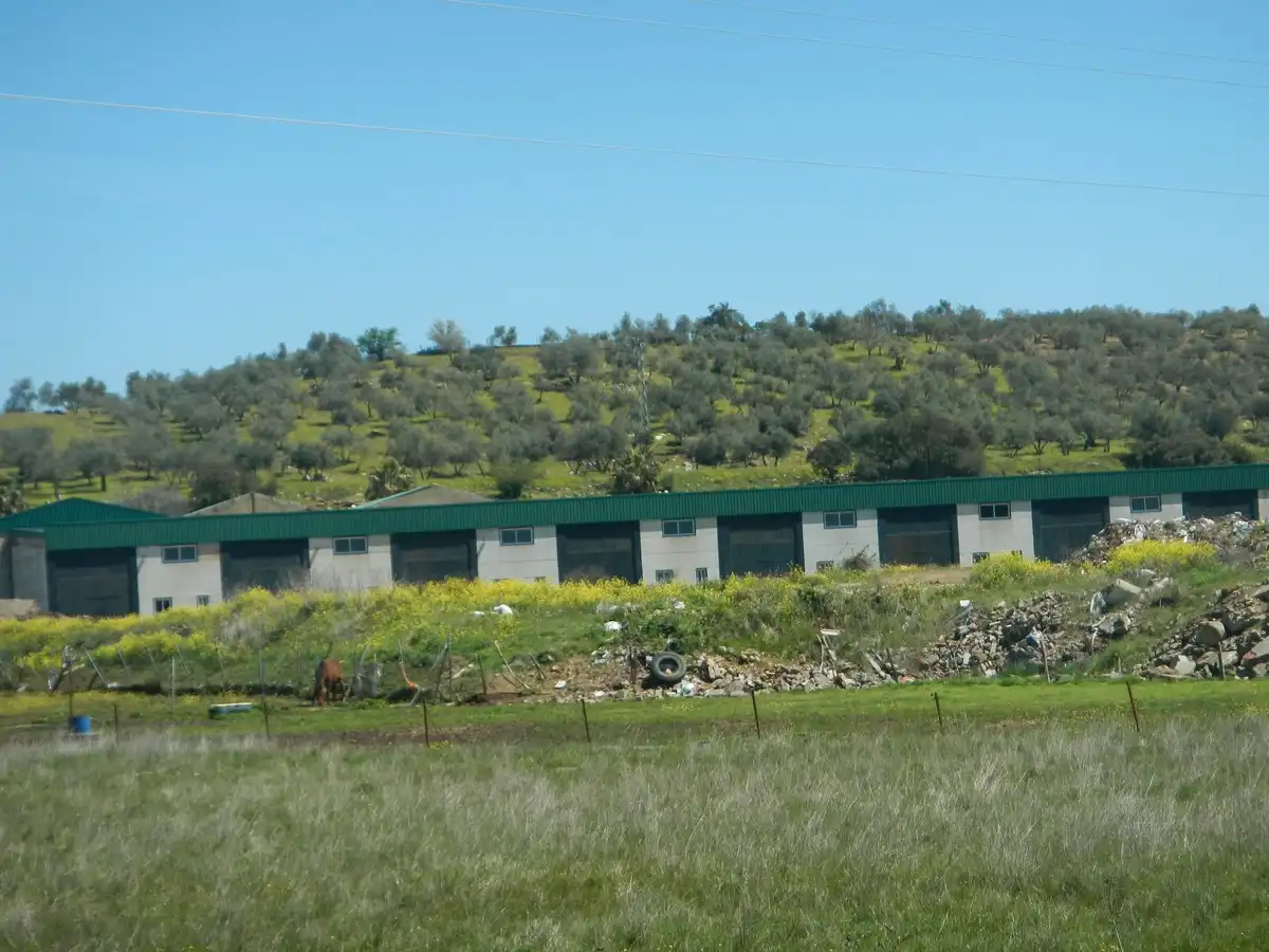 Terreni e lotti in vendita a Alanís, imagen 6