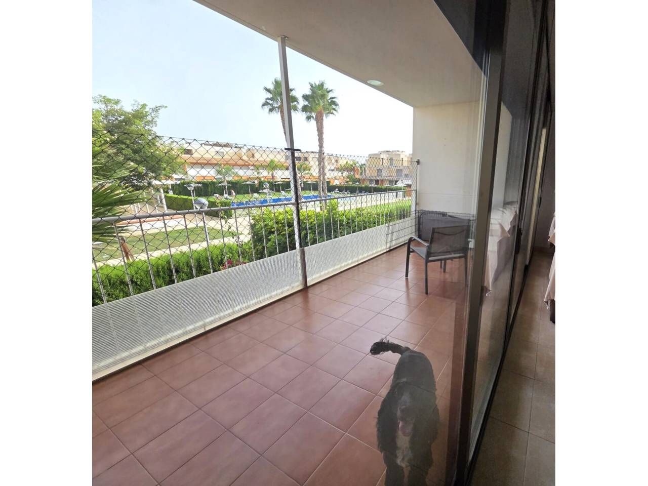 Vista exterior de Pis en venda en Alicante / Alacant amb Aire condicionat, Calefacció i Terrassa