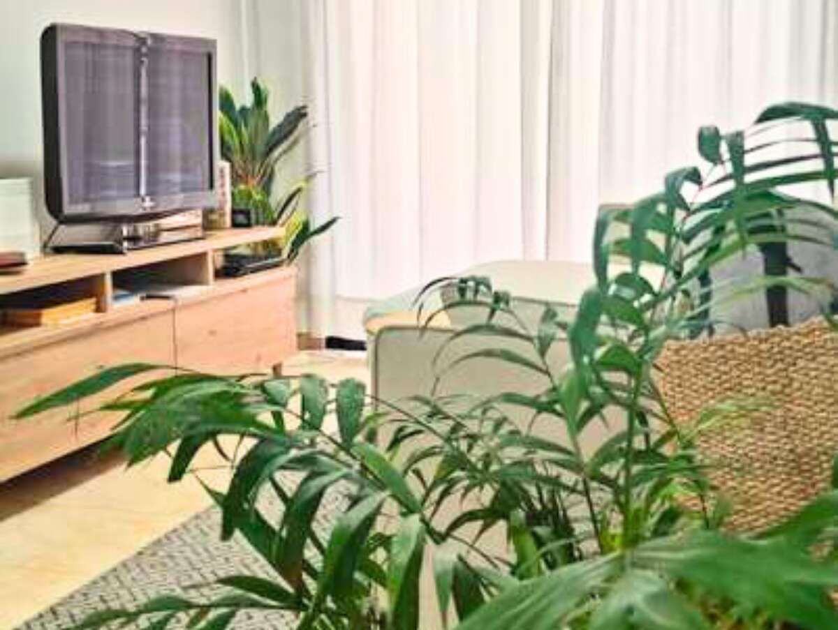 Living room of Flat for sale in Arrecife  with Terrace, Furnished and Oven