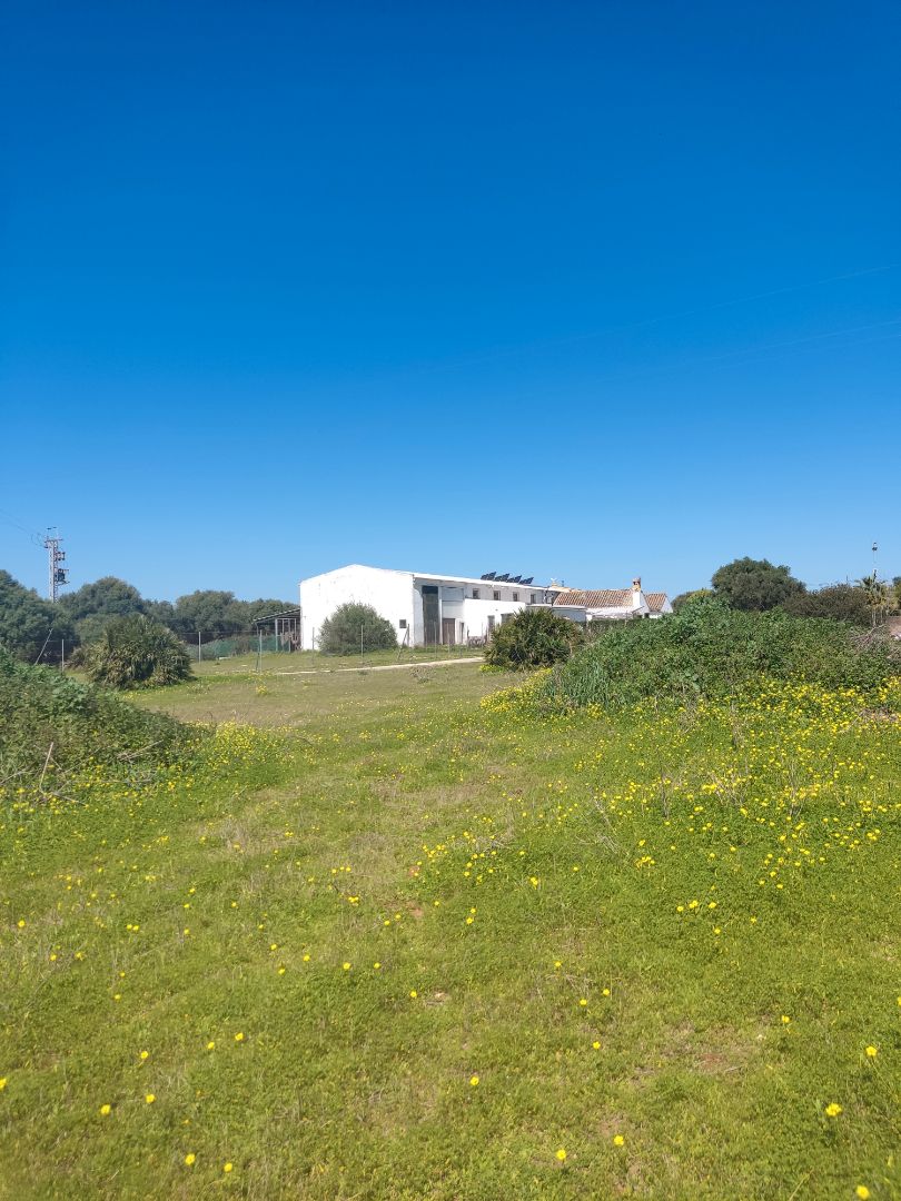 Edifici en venda en Benalup-Casas Viejas amb Piscina comunitària
