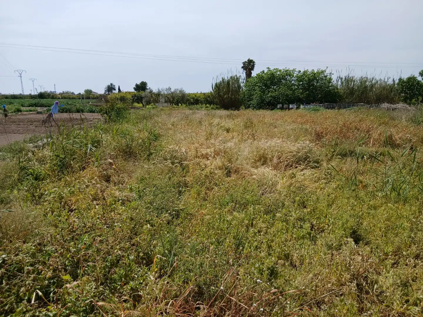 Houses for sale in Rojales