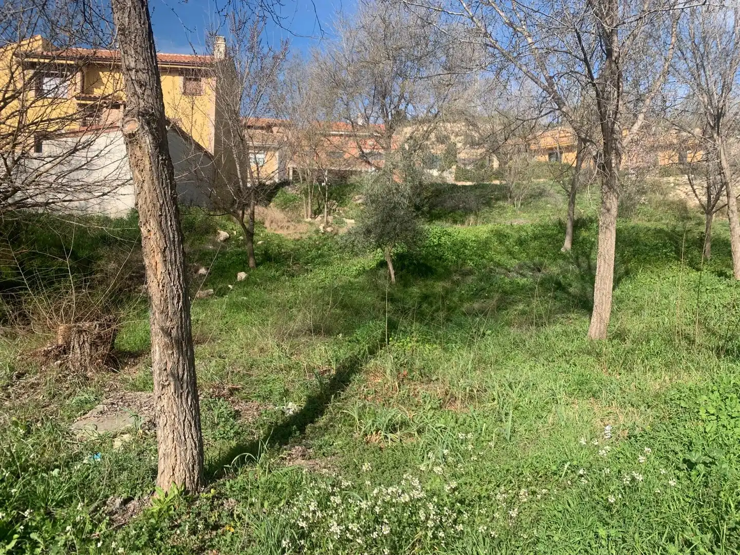 Terreno residencial en venta en Plaza Mayor 2, imagen 4