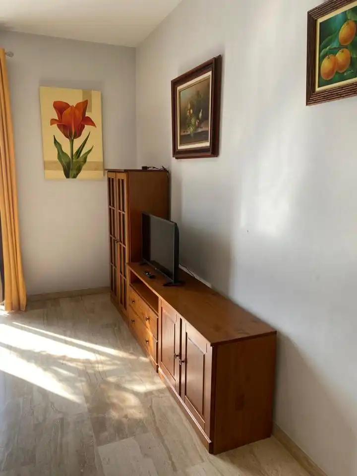 Living room of Flat for rent in Dos Hermanas  with Air Conditioner and Furnished