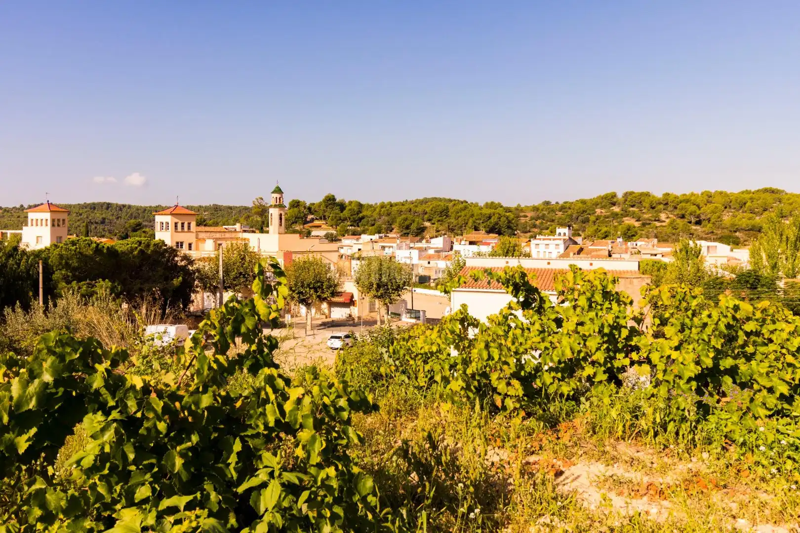 Vista exterior de Casa o xalet en venda en Salomó amb Terrassa, Traster i Alarma
