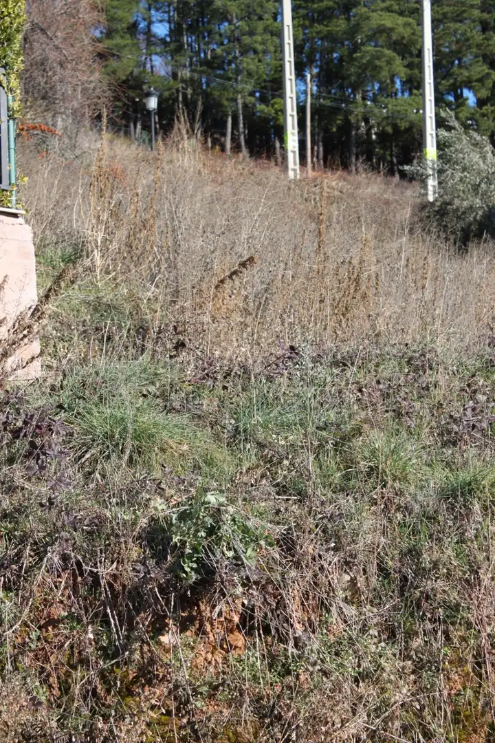 Terreni e lotti in vendita a Urbanización Patricia - Campo, imagen 2