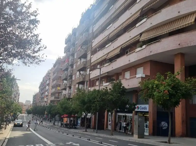 Pis en venda a Carrer de Les Camèlies, 45, La Salut