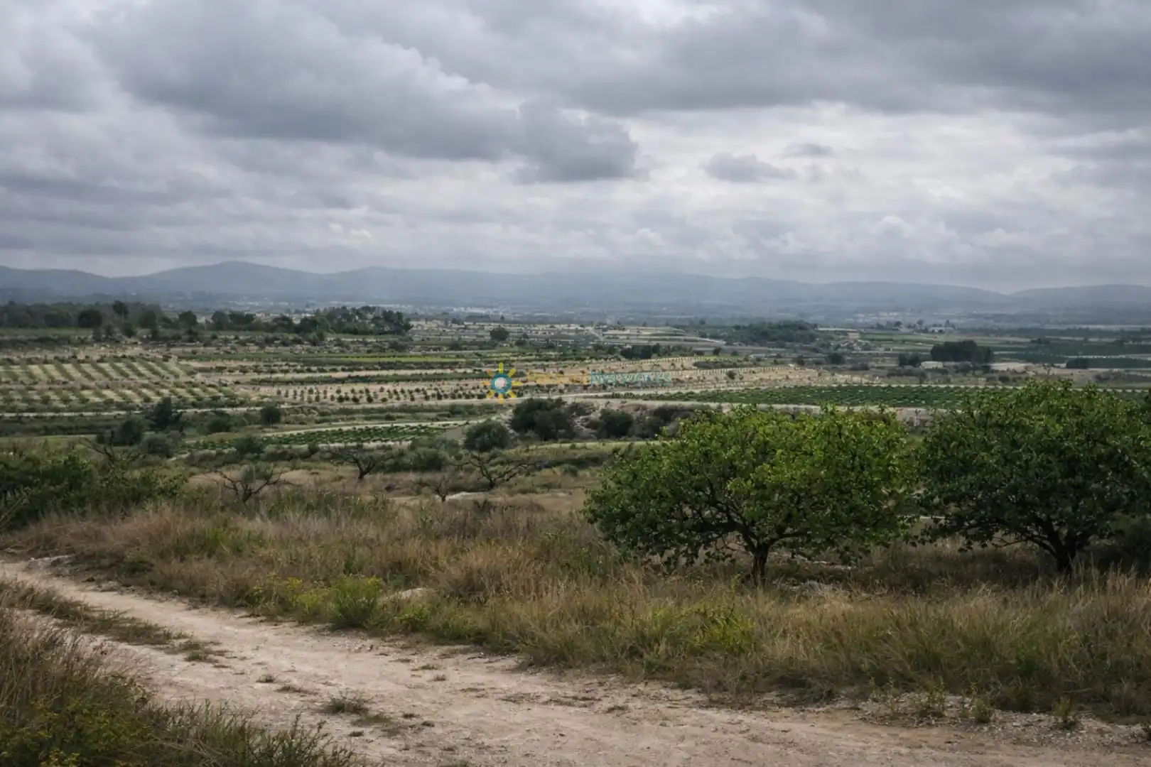 Finca rústica en venda en Albaida amb Jardí privat