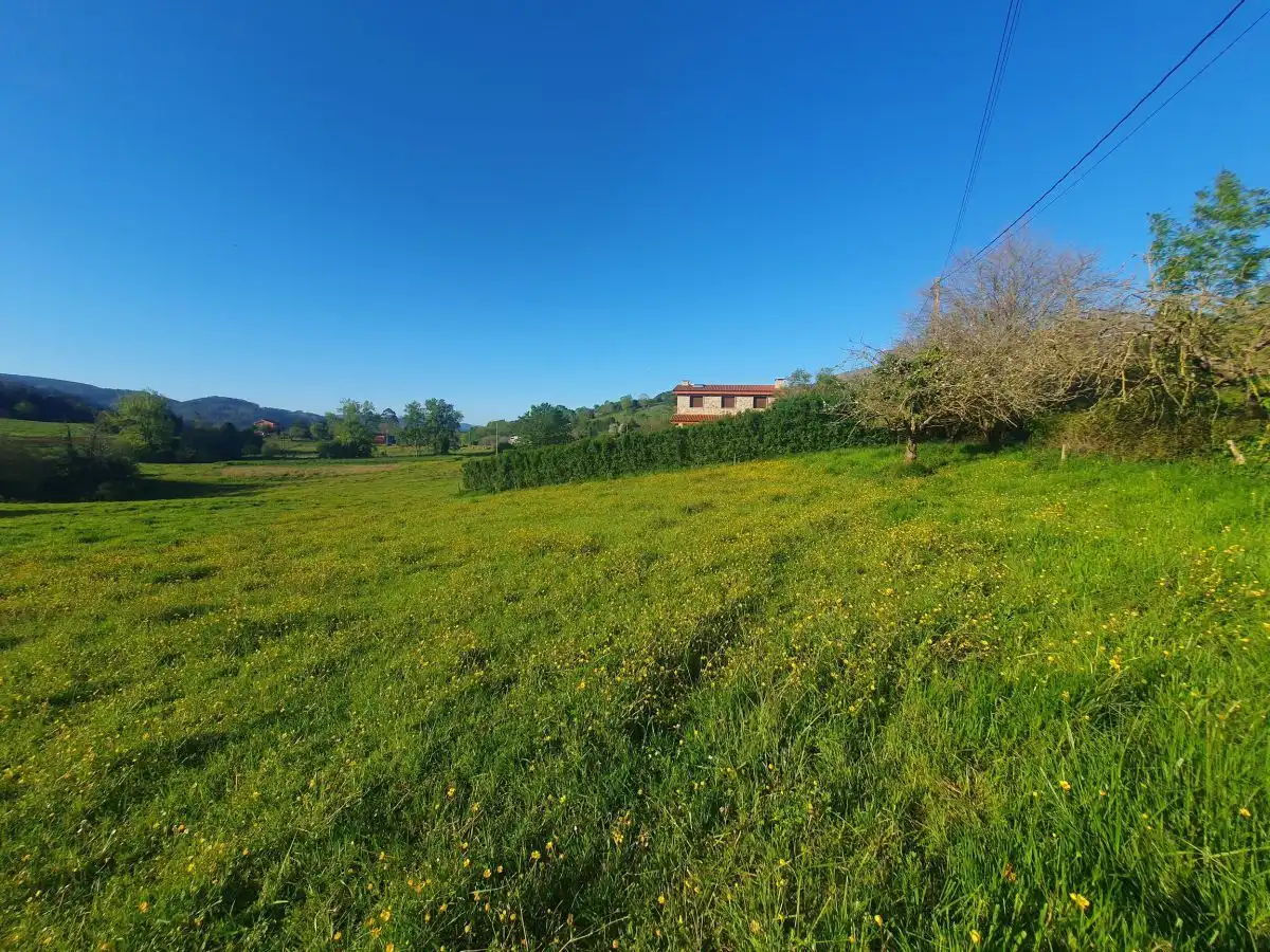 Terrenos y solares en venta en Salas, imagen 11