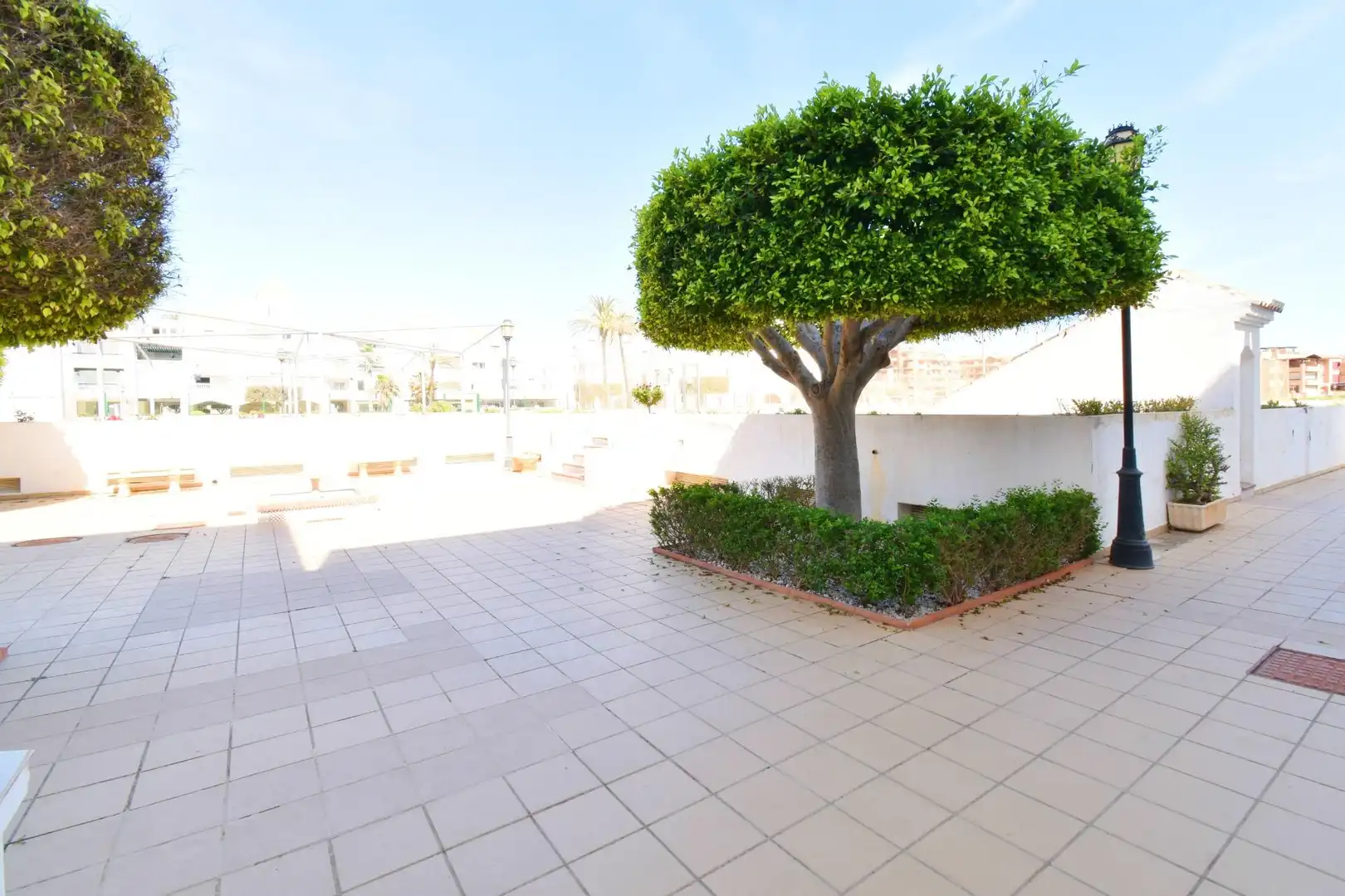 Terrassa de Pis en venda en El Ejido amb Jardí privat, Terrassa i Piscina comunitària