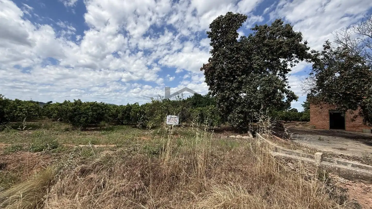 Land for sale in Rafelguaraf
