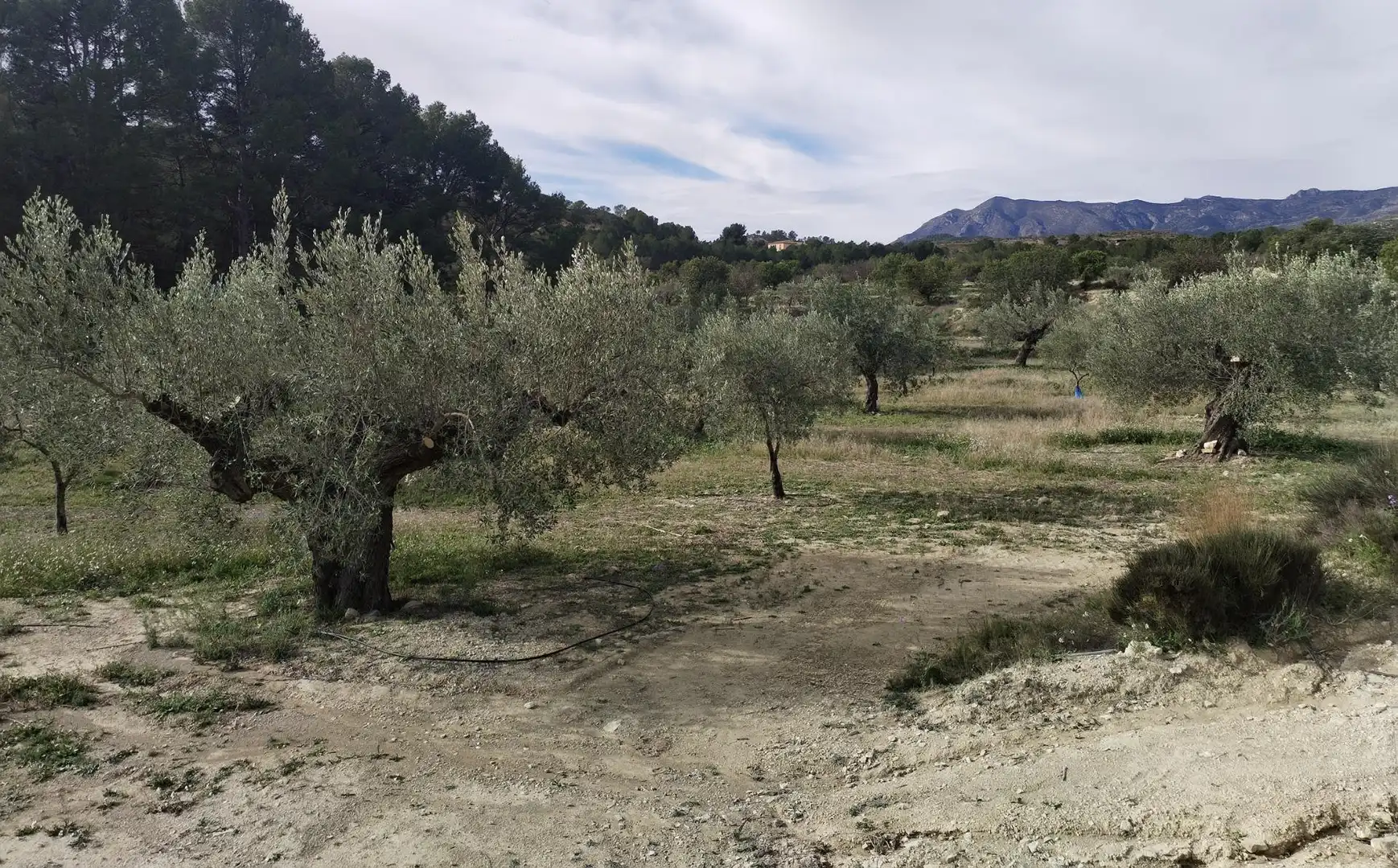 Finca rústica en venda en Relleu amb Aire condicionat, Jardí privat i Terrassa