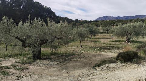 Foto 3 de Finca rústica en venda a Relleu, Alicante