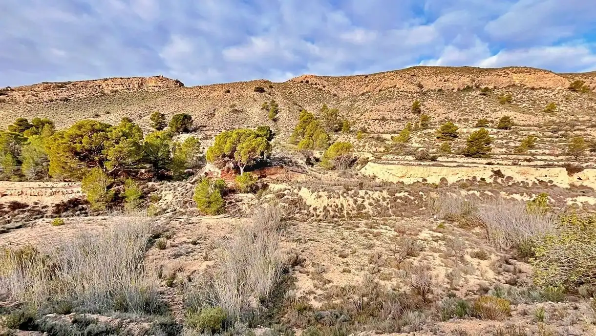 Residencial en venta en Agost