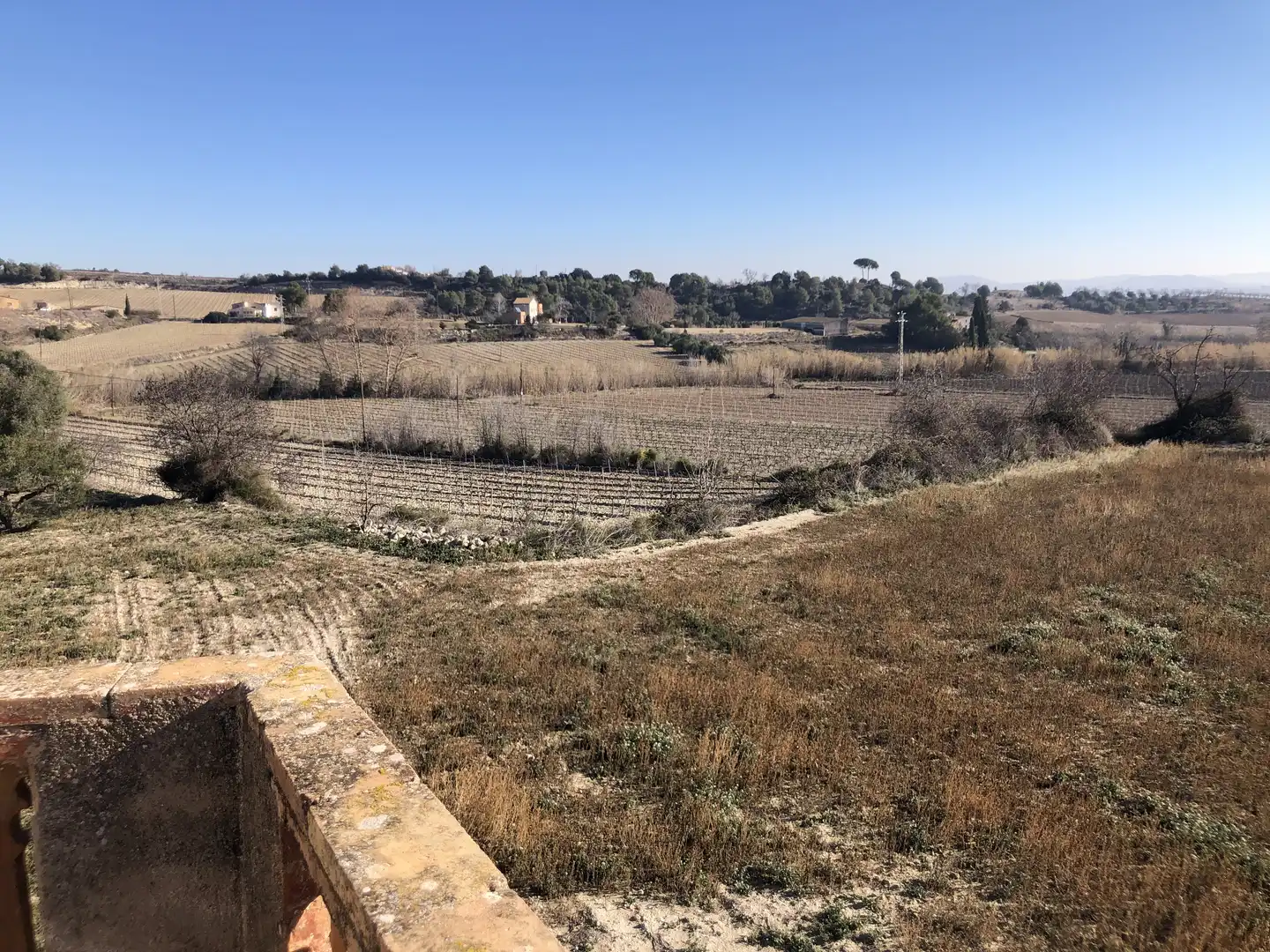 Finca rústica en venta en Castellví de la Marca