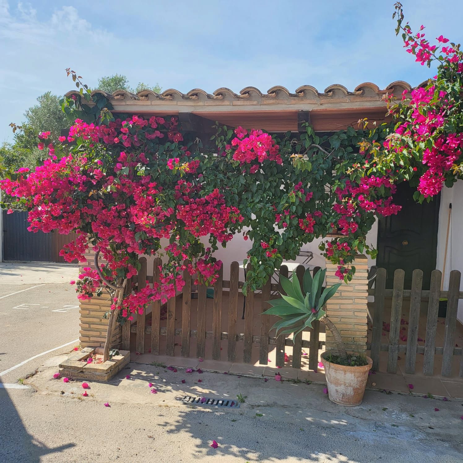 Jardín de Estudio de alquiler en Conil de la Frontera con Aire acondicionado, Amueblado y Lavadora