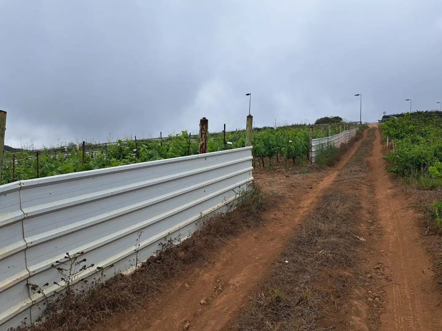Rural land for sale in El Sauzal, imagen 30