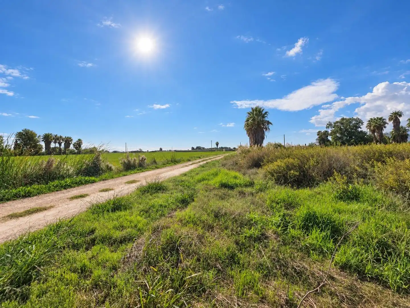Rural land for sale in Polígono Sèquia de la Figuerola Dreta, imagen 29