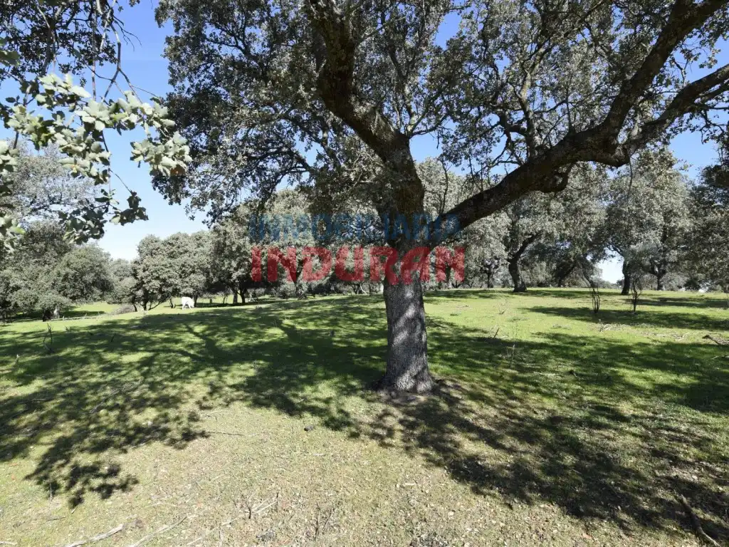 Casa en venda a Valdehúncar, imagen 9