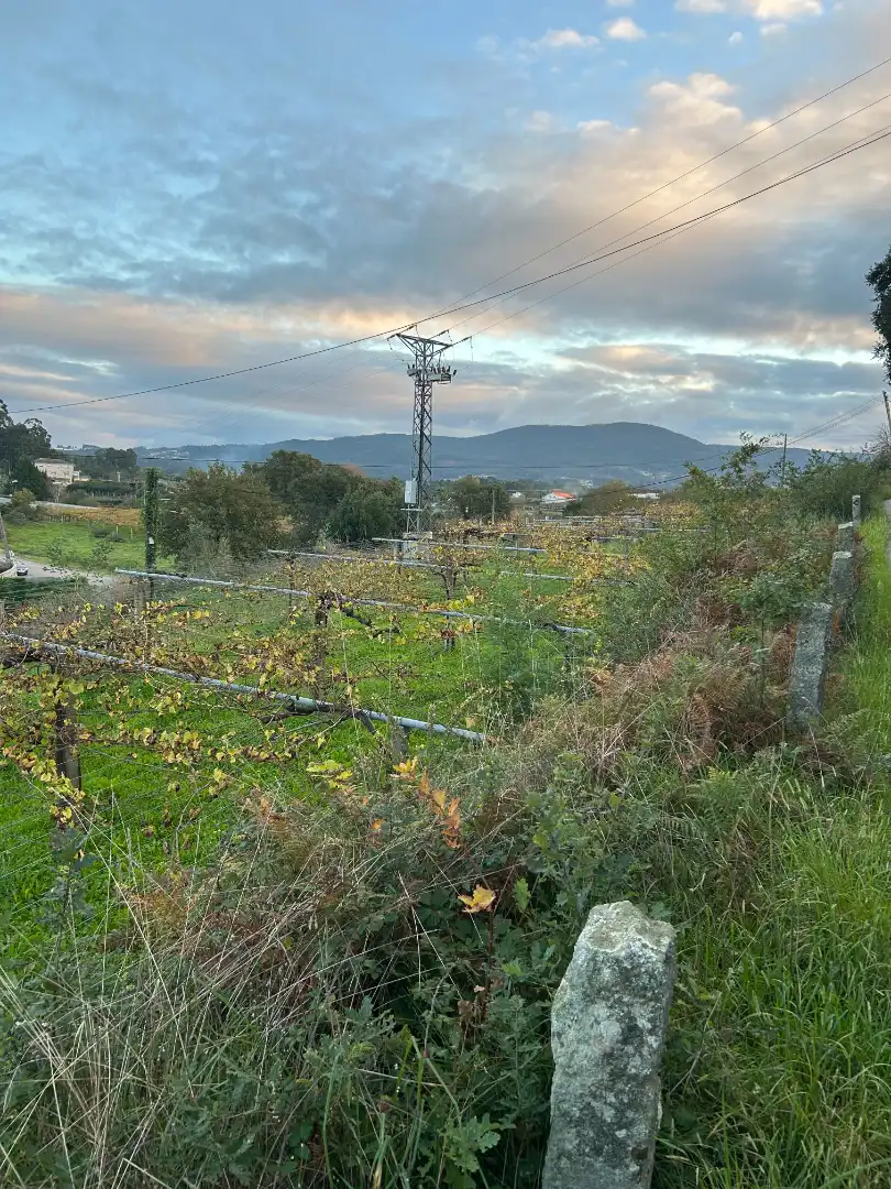 Terreni e lotti in vendita a Lugar Vilanoviña-Paradela, imagen 4