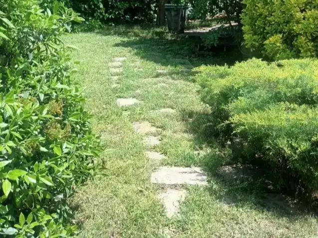 Casa o xalet en venda en Colmenarejo amb Balcó