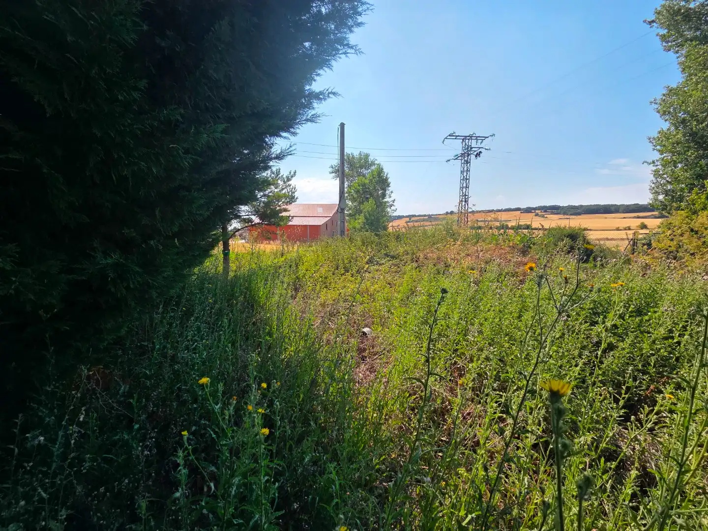 Terreno en venta en Orbaneja Riopico