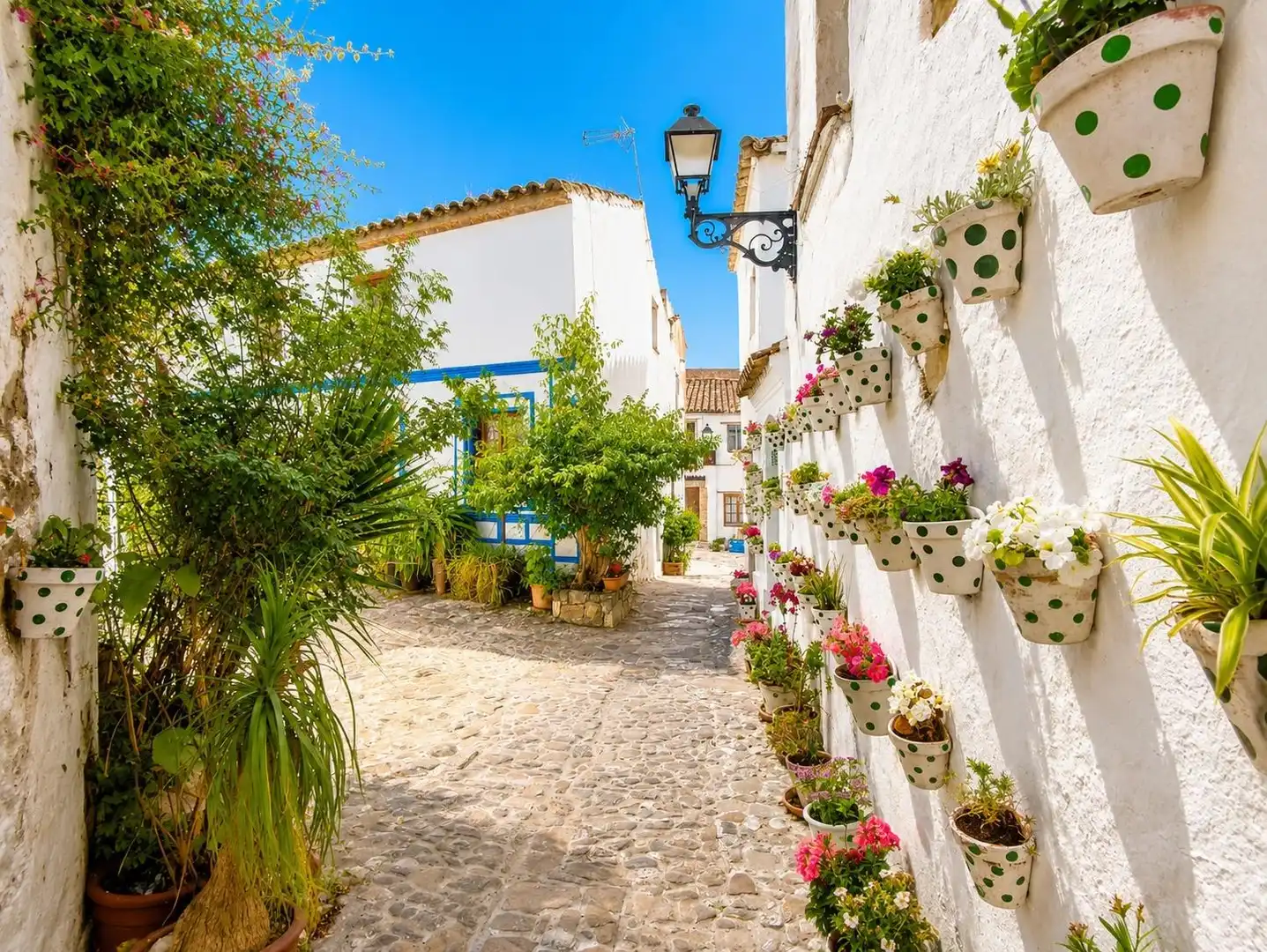 Vista exterior de Casa o chalet en venta en Castellar de la Frontera