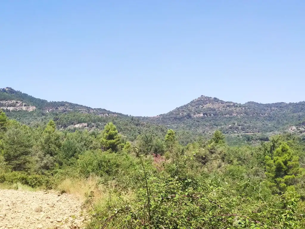 Residential for sale in Graus