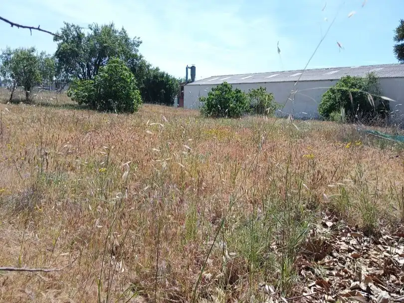 Terreny industrial en venda en El Viso de San Juan