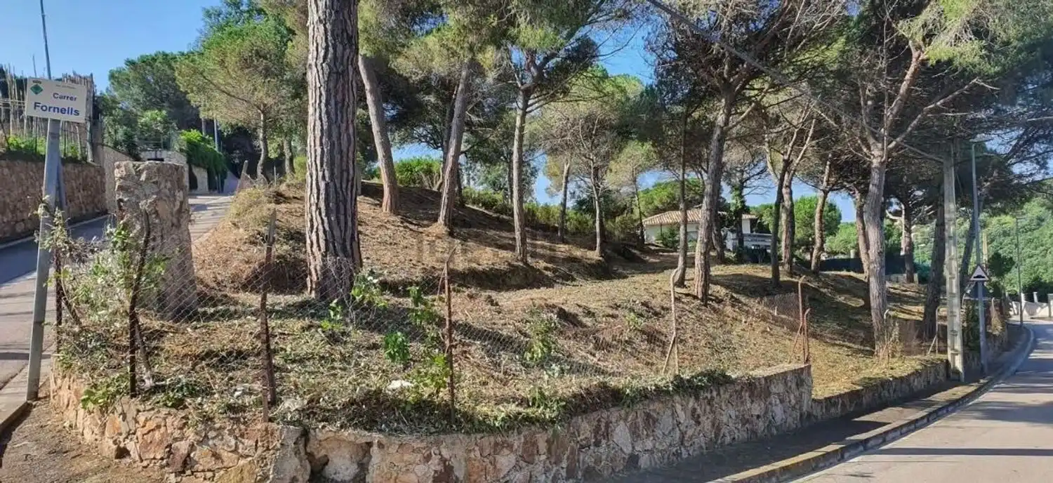 Terrenys i solars en venda a Calle Arbúcies, imagen 2