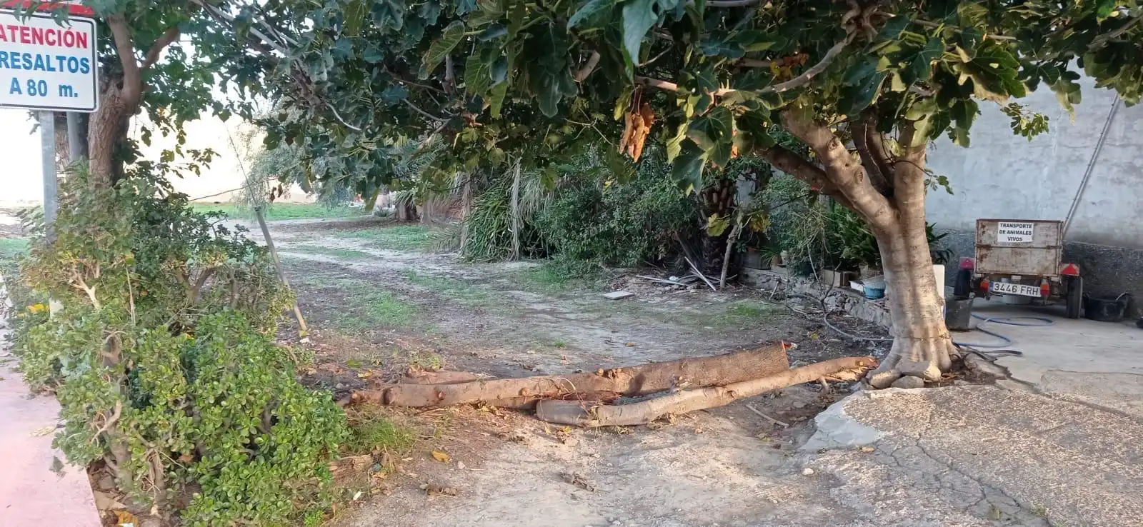 Terreny residencial en venda a Pedanías Este, imagen 7