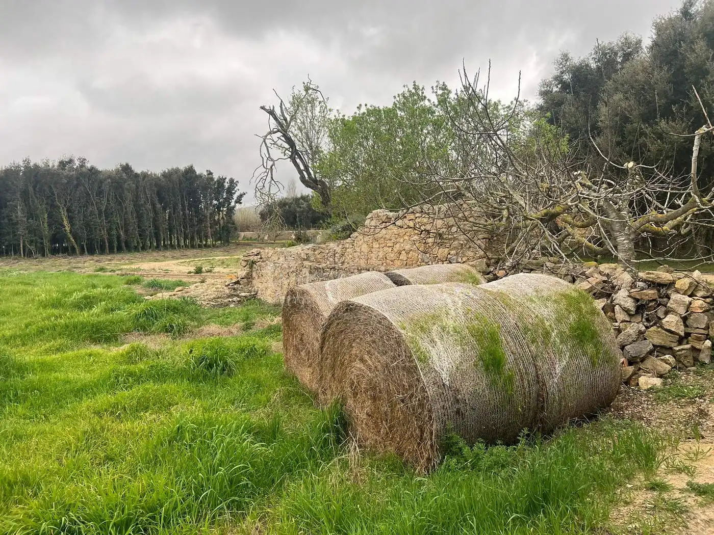 Finca rústica en venda en Palafrugell amb Aire condicionat, Calefacció i Jardí privat