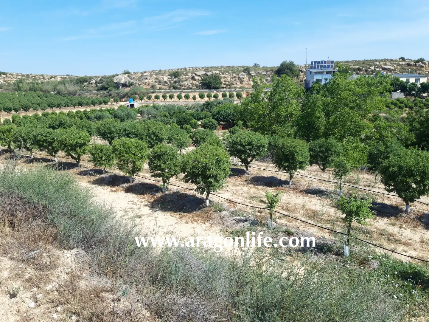 Finca rústica en venta en Caspe con Amueblado