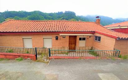 Vista exterior de Finca rústica en venda en Mieres (Asturias) amb Terrassa