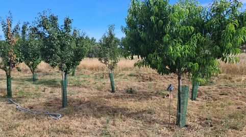 Foto 4 de Finca rústica en venta en Calle Barrero, 11, Camarzana de Tera, Zamora
