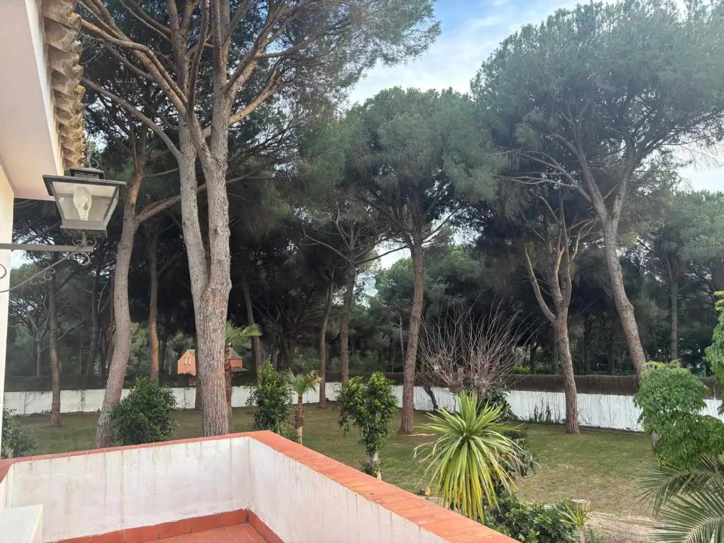 Casa rústica en venda a Arcos de la Frontera, imagen 58