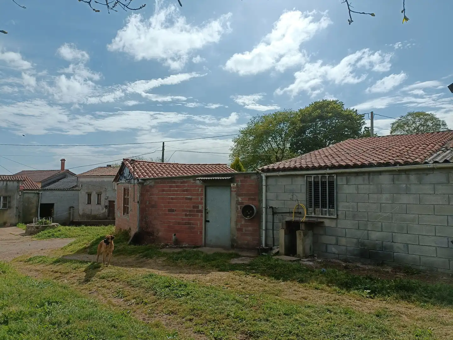Vista exterior de Casa o chalet en venta en Oza dos Ríos con Jardín privado y Trastero
