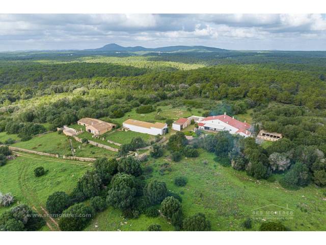 Terreno en Venta en Es Grau - Serra Morena
