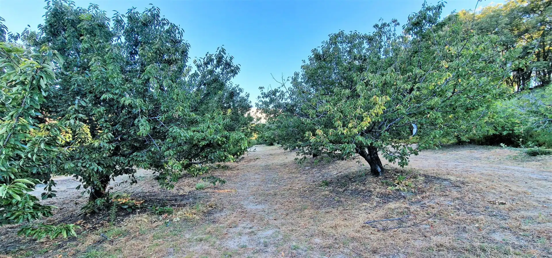 Terreni e lotti in vendita a Aldeanueva de la Vera, imagen 11