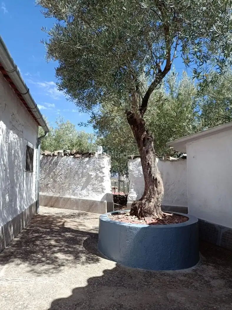 Casa amb jardí en venda a Calle de San José 18, imagen 3