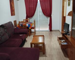 Living room of Flat for sale in Torrevieja  with Terrace, Furnished and Washing machine