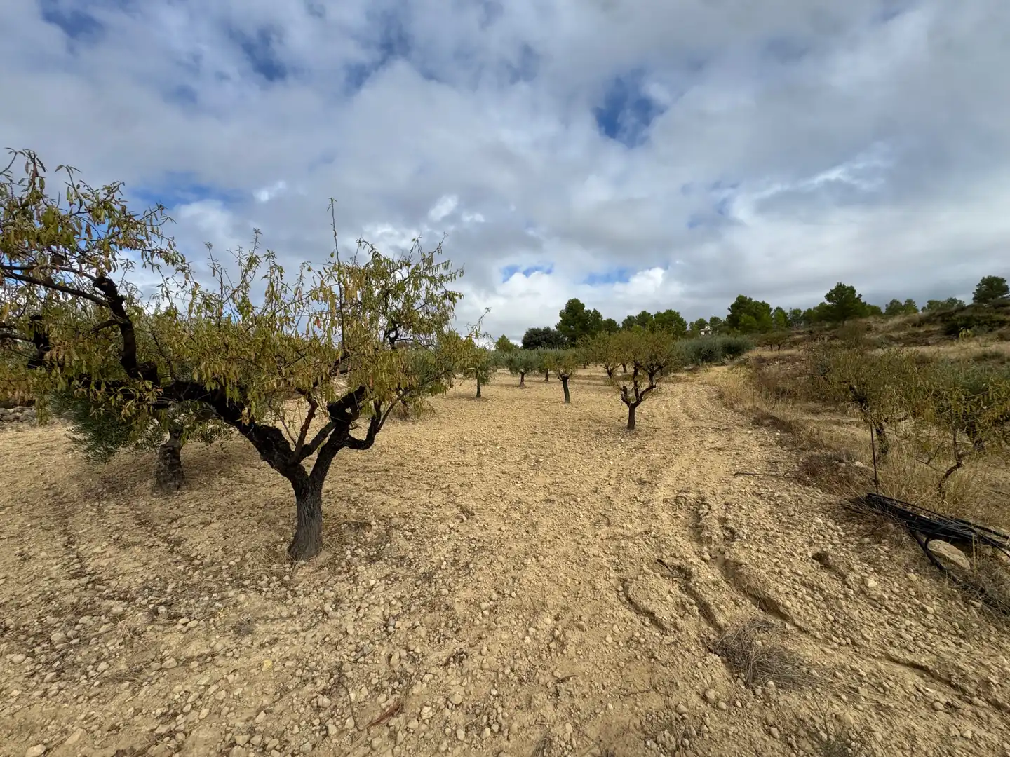 Villa avec terrasse à vendre à Carretera de Murcia 13, imagen 11